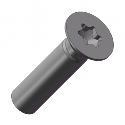 Senkschraube TX-M3x12 ISO14581r 